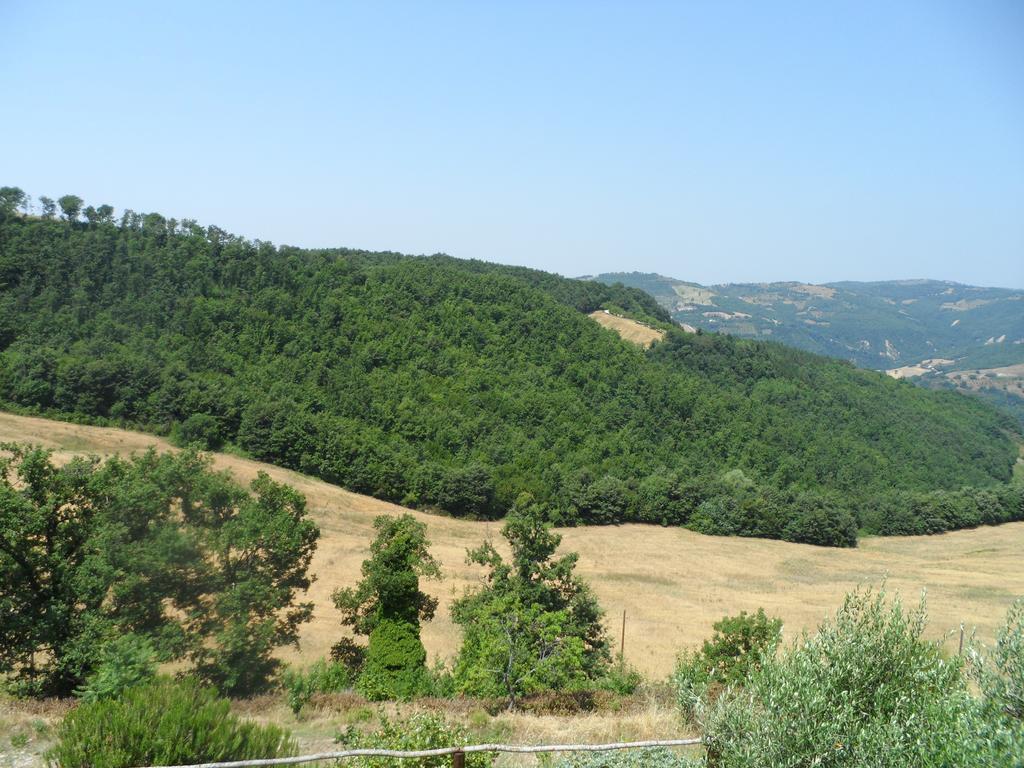 La Terrazza * Valfabbrica