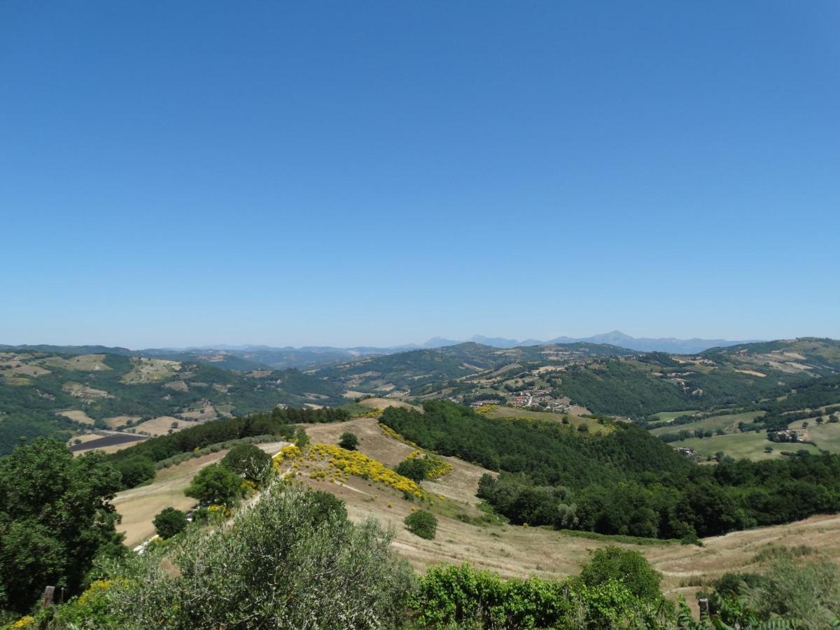 Agroturismo La Terrazza