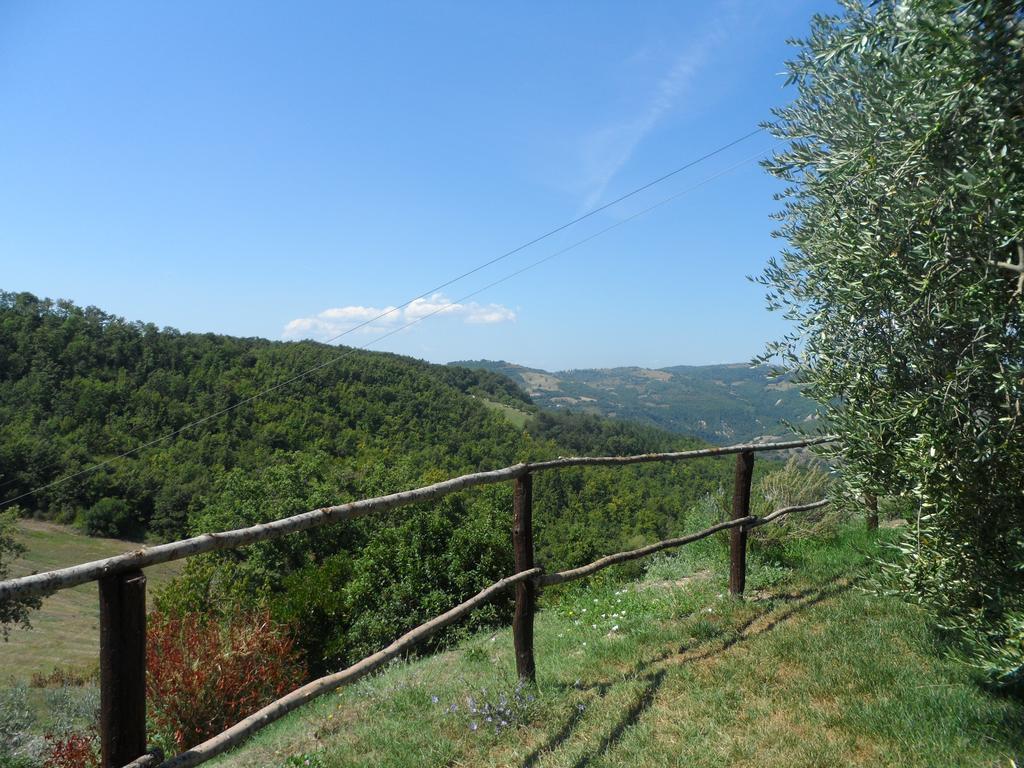 La Terrazza * Valfabbrica