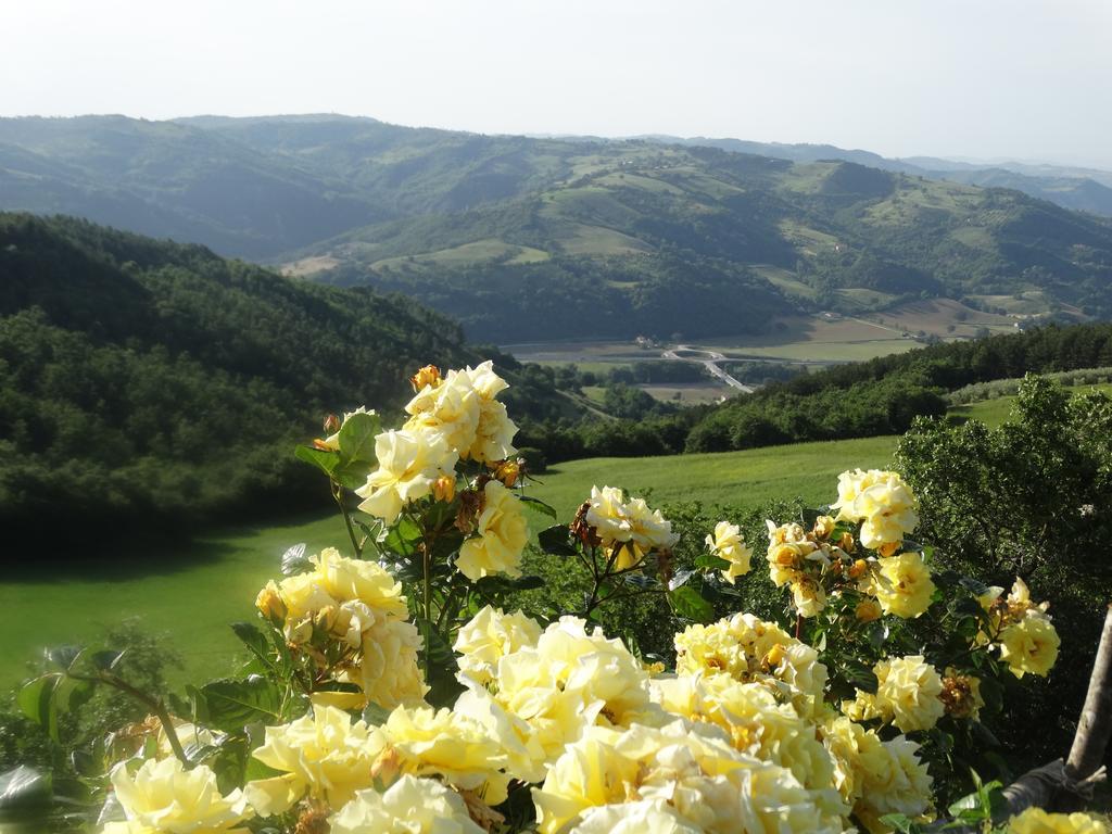 La Terrazza Valfabbrica